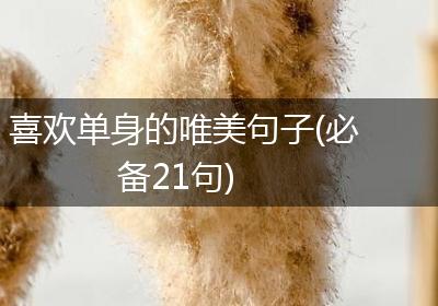 喜欢单身的唯美句子(必备21句)