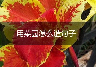 用菜园怎么造句子