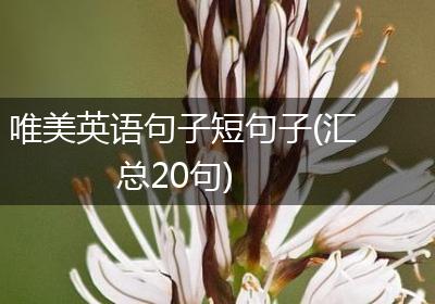 唯美英语句子短句子(汇总20句)