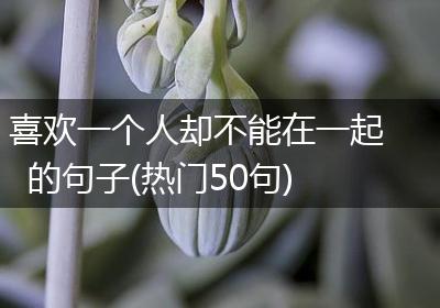 喜欢一个人却不能在一起的句子(热门50句)
