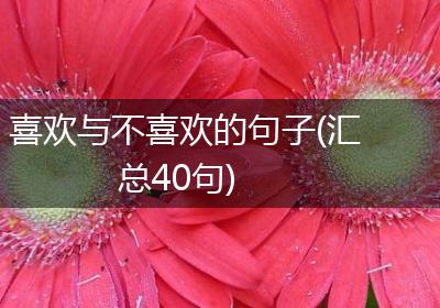 喜欢与不喜欢的句子(汇总40句)