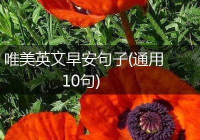 唯美英文早安句子(通用10句)