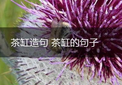 茶缸造句 茶缸的句子