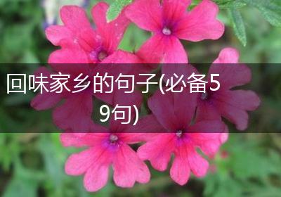 回味家乡的句子(必备59句)