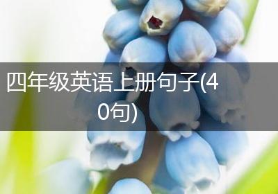 四年级英语上册句子(40句)