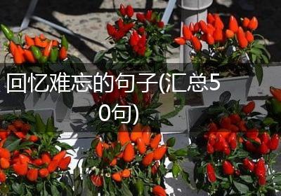 回忆难忘的句子(汇总50句)