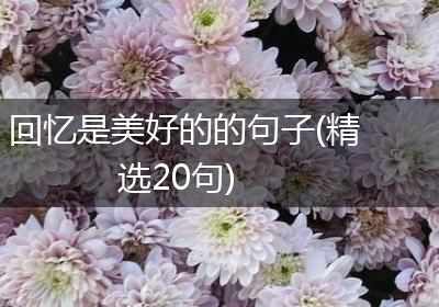 回忆是美好的的句子(精选20句)