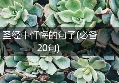 圣经中忏悔的句子(必备20句)