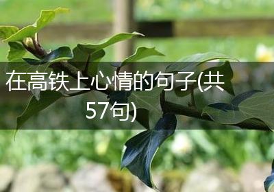 在高铁上心情的句子(共57句)