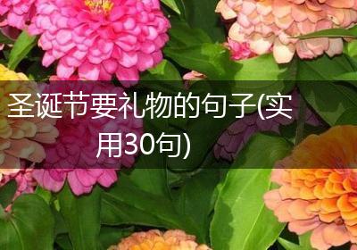 圣诞节要礼物的句子(实用30句)