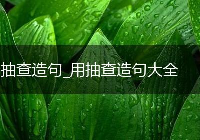 抽查造句_用抽查造句大全