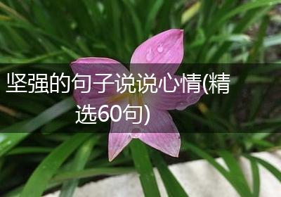 坚强的句子说说心情(精选60句)