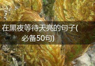 在黑夜等待天亮的句子(必备50句)