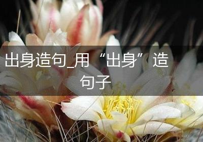 出身造句_用“出身”造句子
