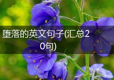 堕落的英文句子(汇总20句)
