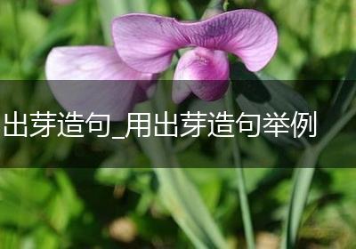 出芽造句_用出芽造句举例