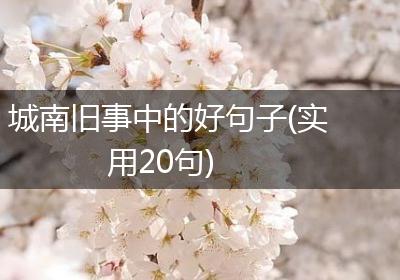 城南旧事中的好句子(实用20句)