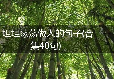坦坦荡荡做人的句子(合集40句)