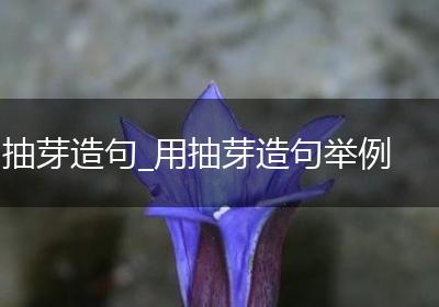 抽芽造句_用抽芽造句举例