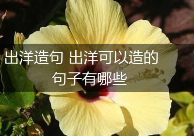 出洋造句 出洋可以造的句子有哪些