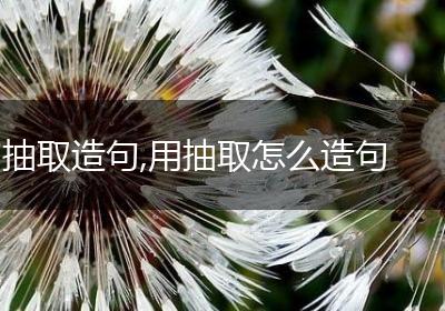 抽取造句,用抽取怎么造句