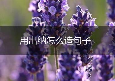 用出纳怎么造句子