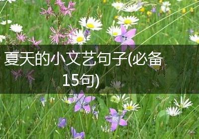 夏天的小文艺句子(必备15句)
