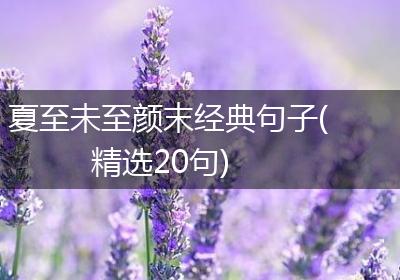 夏至未至颜末经典句子(精选20句)