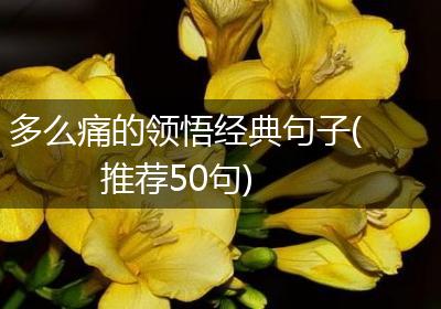 多么痛的领悟经典句子(推荐50句)
