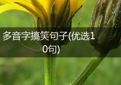 多音字搞笑句子(优选10句)