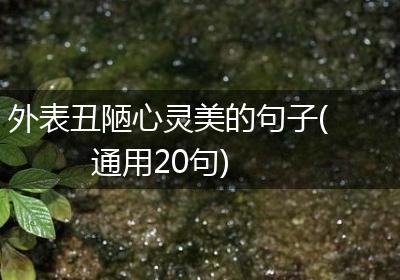 外表丑陋心灵美的句子(通用20句)