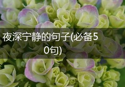 夜深宁静的句子(必备50句)