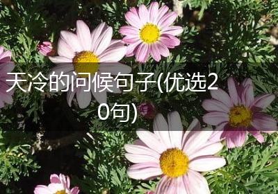 天冷的问候句子(优选20句)