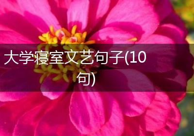 大学寝室文艺句子(10句)
