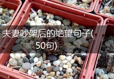 夫妻吵架后的绝望句子(50句)