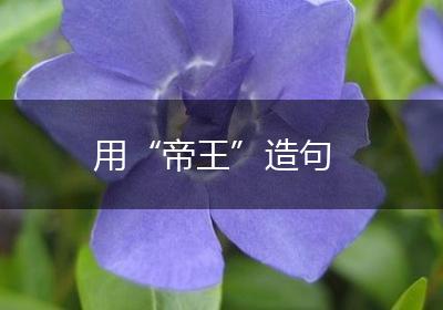 用“帝王”造句
