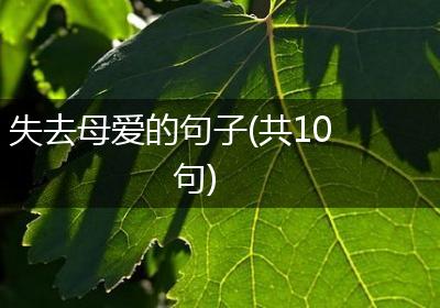 失去母爱的句子(共10句)