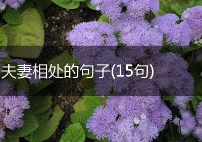 夫妻相处的句子(15句)