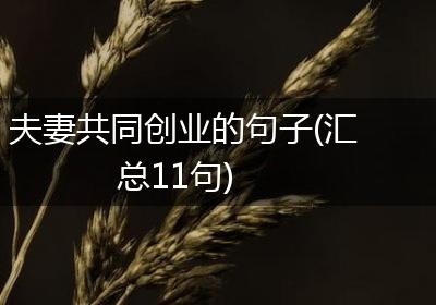 夫妻共同创业的句子(汇总11句)