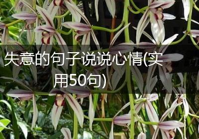 失意的句子说说心情(实用50句)