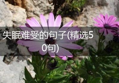 失眠难受的句子(精选50句)