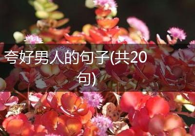夸好男人的句子(共20句)