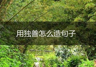 用独善怎么造句子