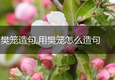 樊笼造句,用樊笼怎么造句