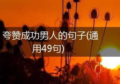 夸赞成功男人的句子(通用49句)