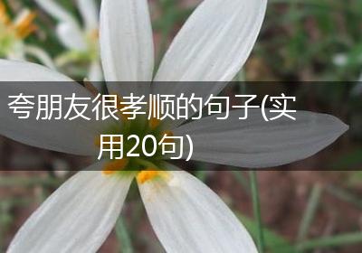 夸朋友很孝顺的句子(实用20句)