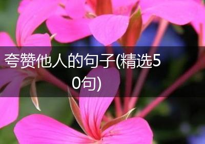 夸赞他人的句子(精选50句)