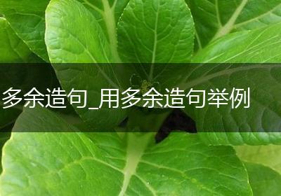 多余造句_用多余造句举例