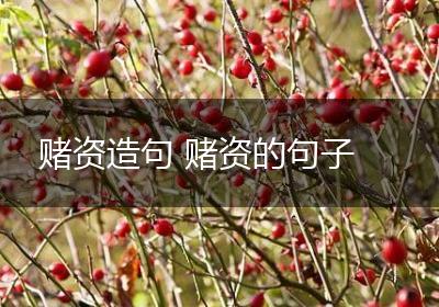 赌资造句 赌资的句子