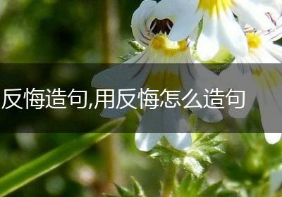 反悔造句,用反悔怎么造句